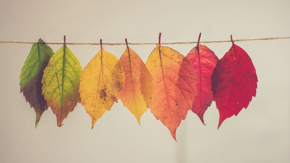 Leading Change