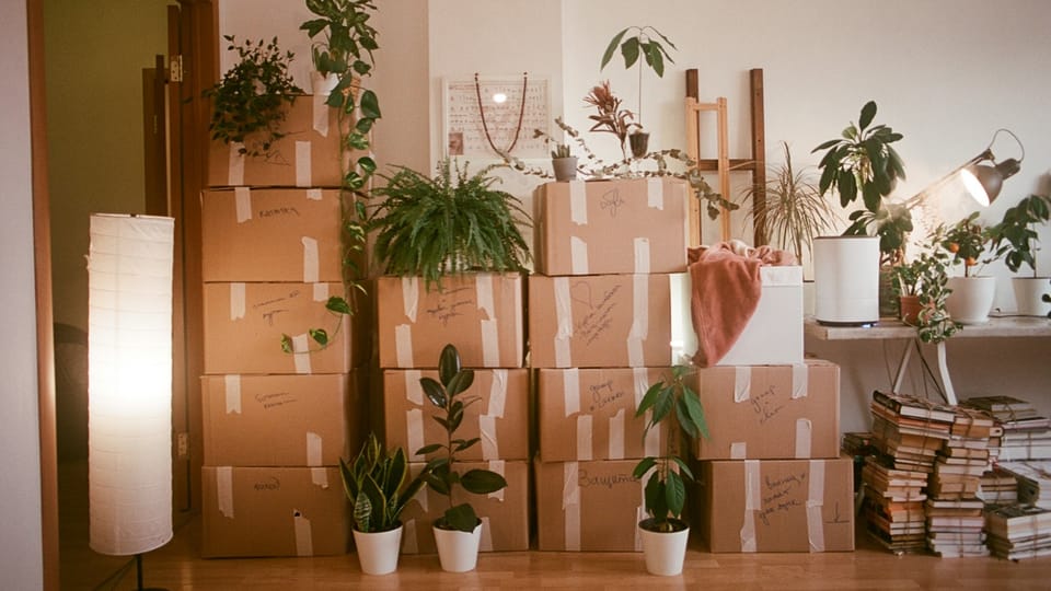 The Best Decision of 2026